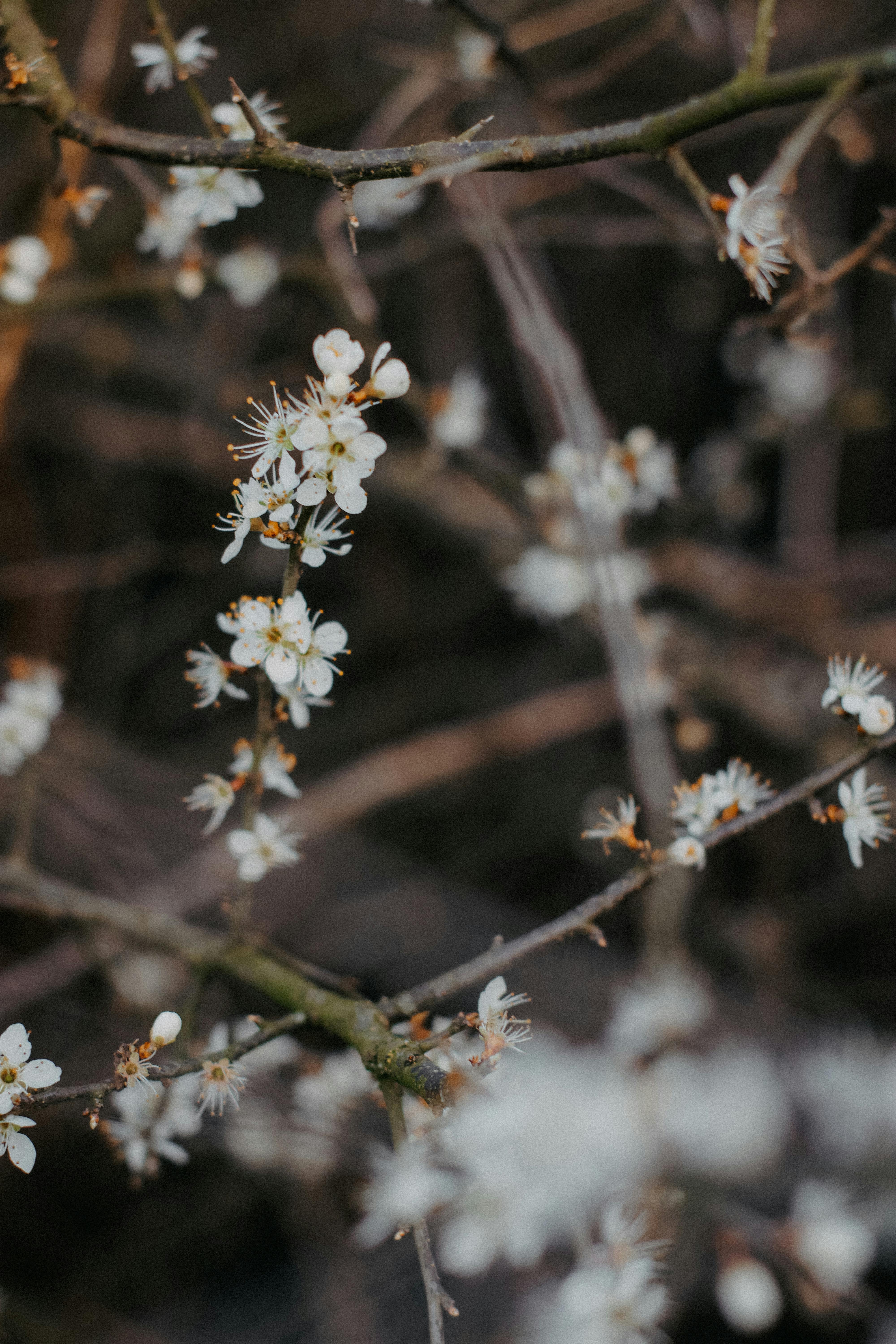 Kill Switch : ce petit bouton qui peut vous sauver la mise