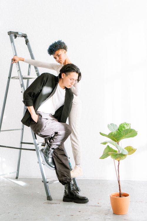 Two people on a ladder with a plant in the background