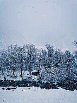 A serene winter forest covered in snow with a frosty river flowing through, creating a scenic landscape.