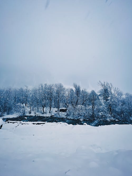 下雪, 冬季, 冷 的 免費圖庫相片