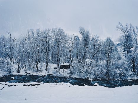 A tranquil winter scene featuring snow-covered trees and a flowing river under an overcast sky.