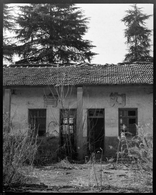 Free Black and white photo of an abandoned house with tall grass and trees. Stock Photo