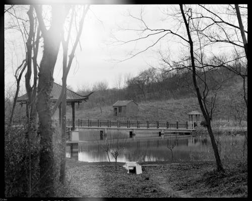 A black and white photo of a pond and trees