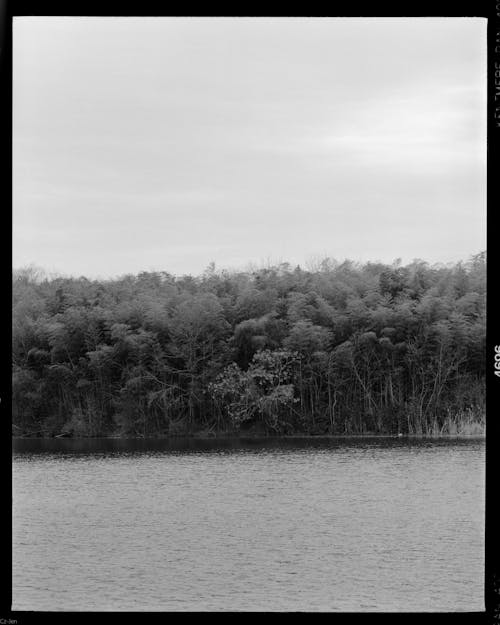 Black and White Photography of a Lake