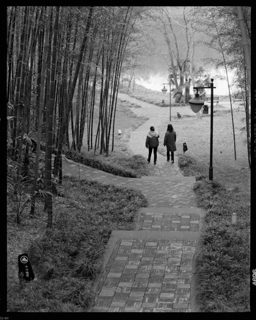 A black and white photo of people walking down a path