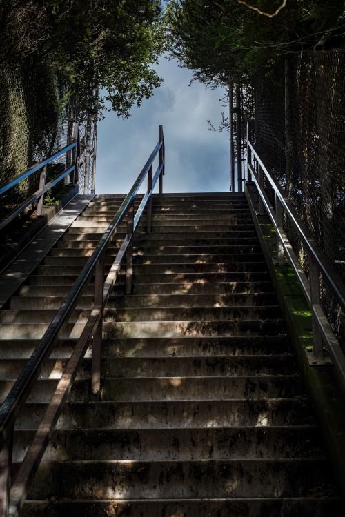 Free A staircase bordered by trees and fences leading upward to a cloudy sky. Stock Photo