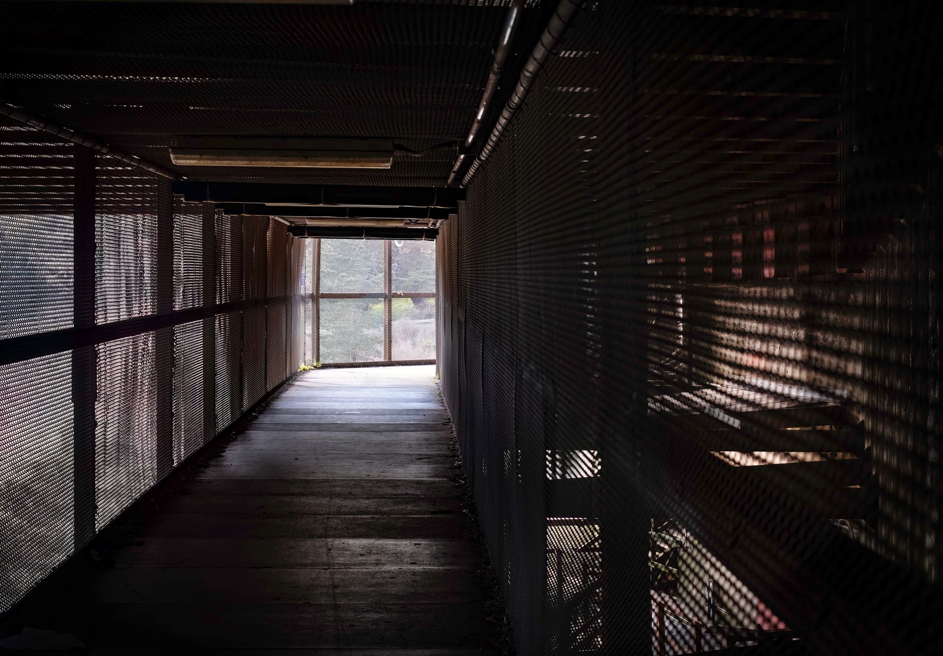 View of a Tunnel Boardwalk above the Ground