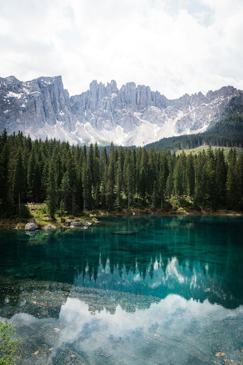 View of the Lake Carezza, Forest and Mountains in Dolomites in South Tyrol, Italy