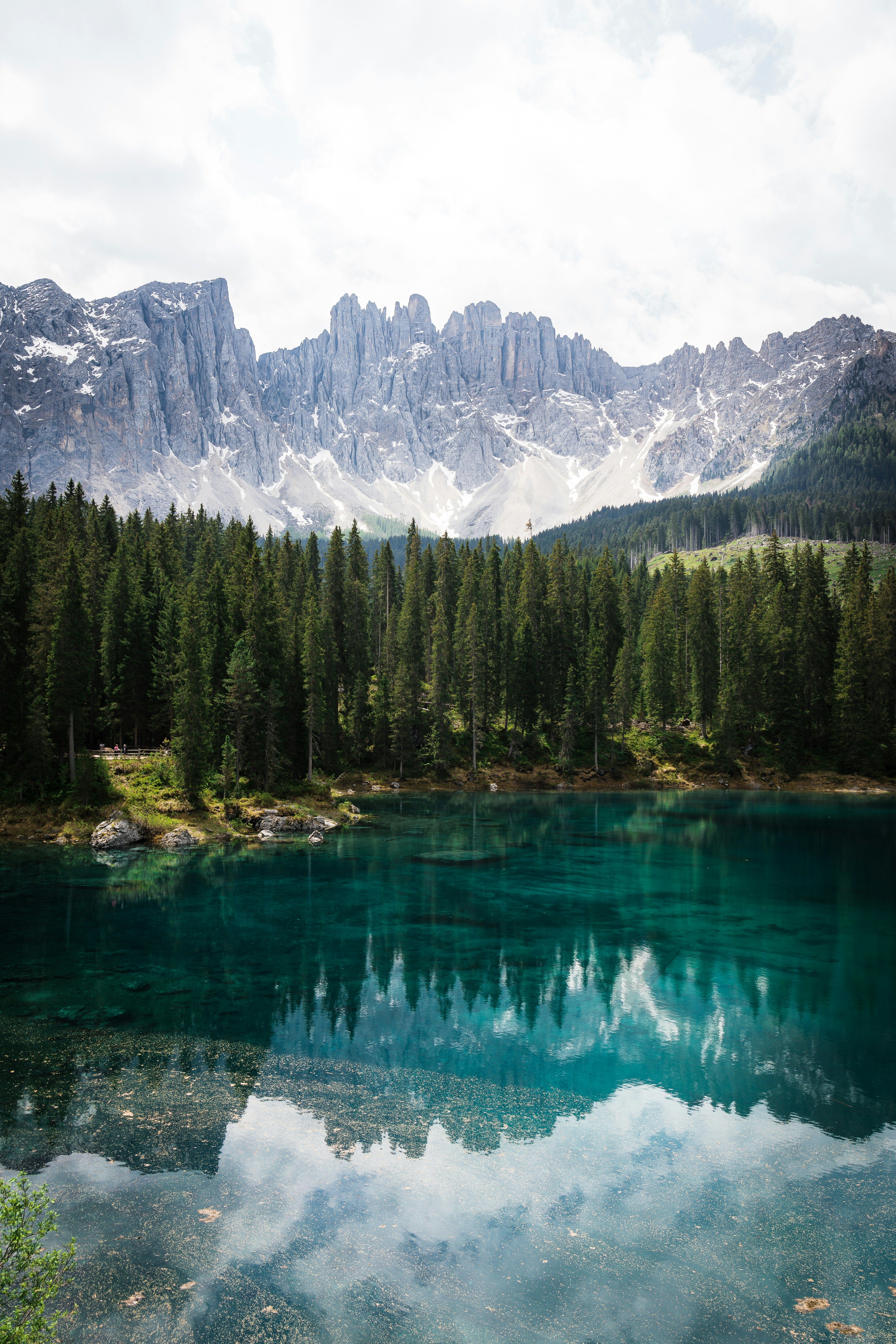 View of the Lake Carezza, Forest and Mountains in Dolomites in South ...