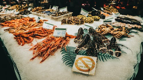 Mariscos Surtidos En Un Mercado