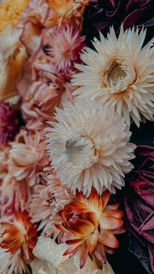 A close up of a flower arrangement with many different colors