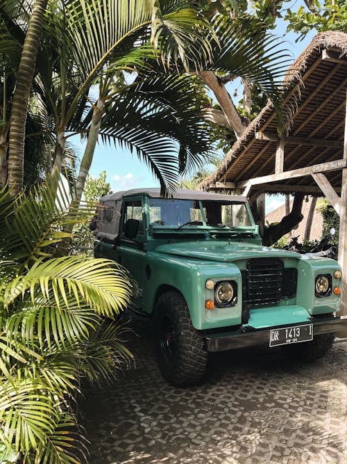 A green land rover parked in front of a palm tree