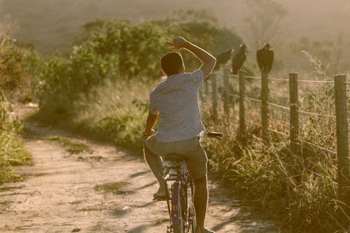 Fotobanka s bezplatnými fotkami na tému bicykel, hracie pole, jazdenie