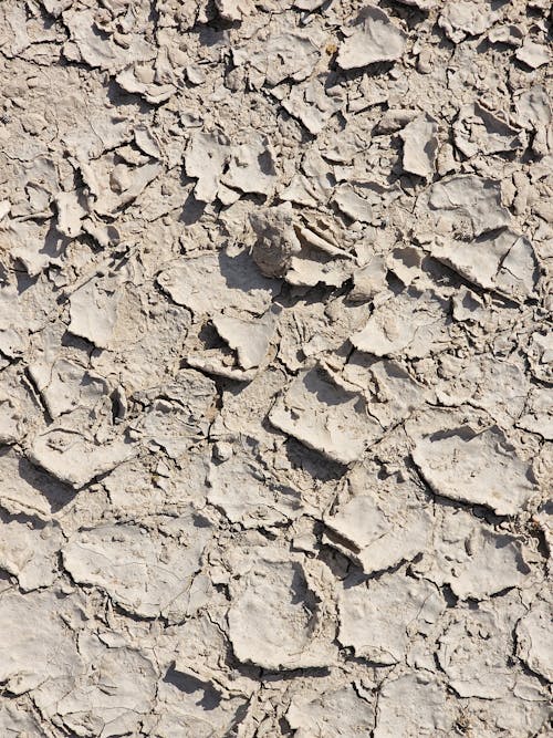 Fotos de stock gratuitas de agrietado, árido, calor