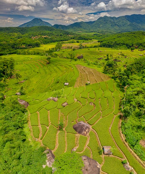 Bird's Eye View Of Farmland During Daytime