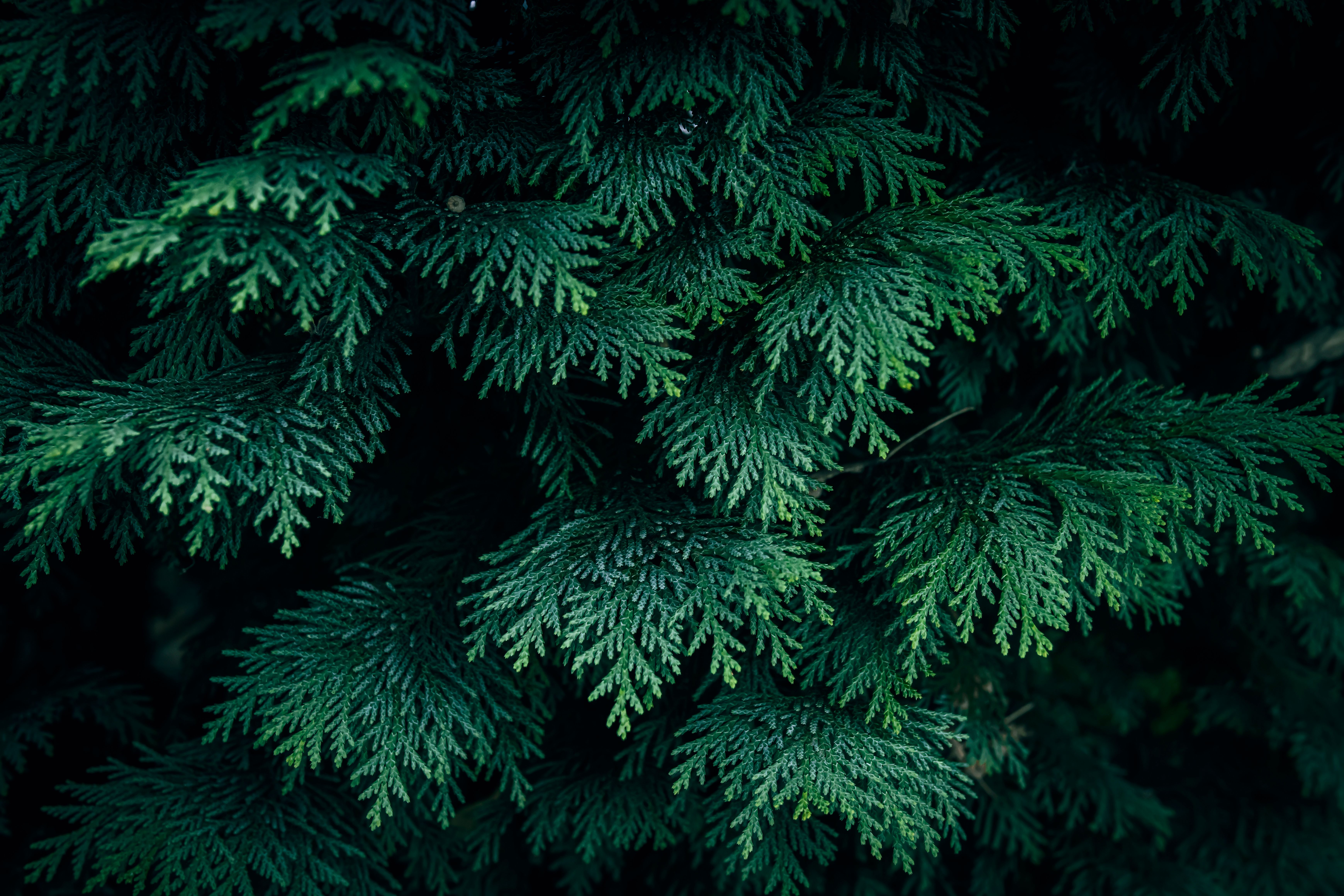 Evergreen Nephrology Posts Strong CMS Savings While Doubling Down on Patient Education and Physician Ties - TipRanks — Photo 