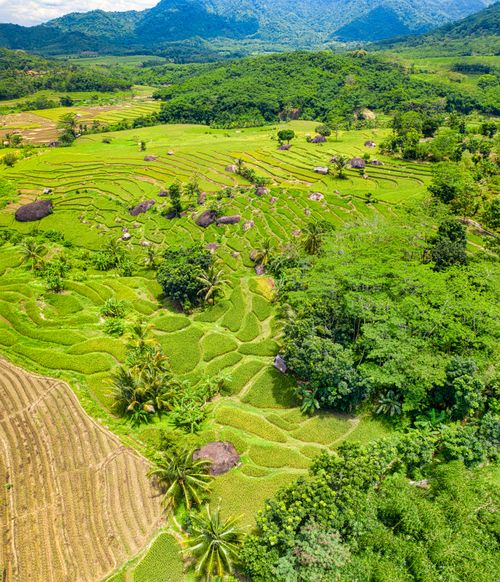 Free A vibrant aerial shot of green rice terraces and farmland in Purwakarta, Indonesia. Stock Photo