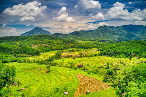 Campo De Grama E Montanhas