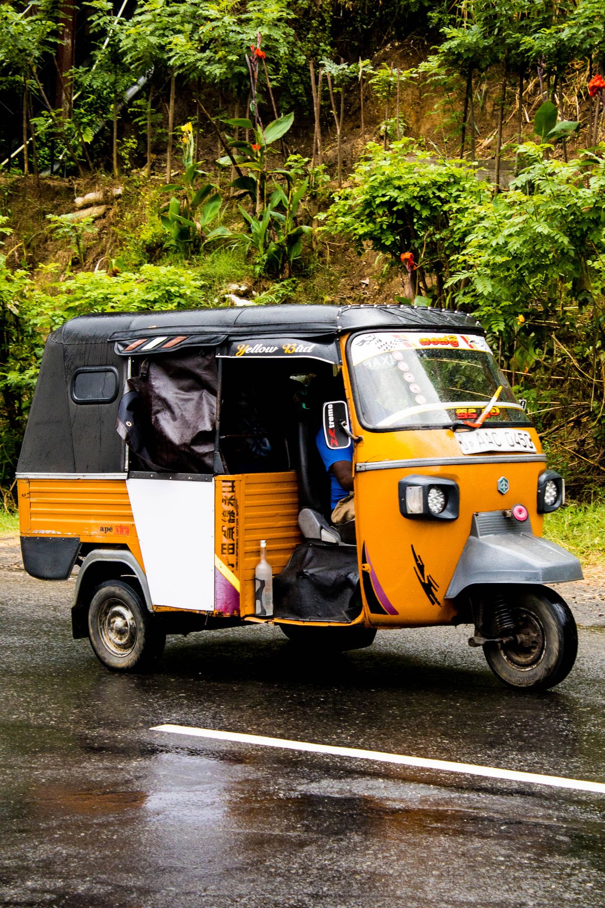 Bright Yellow Auto Rickshaw in Kerala Street · Free Stock Photo