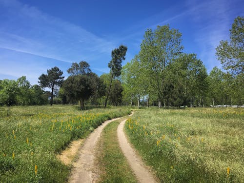 Road in the countryside field near Tabagón, O Rosal, O Baixo Miño, Galicia, Spain, April 2019