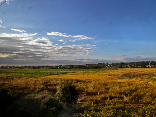 Darmowe zdjęcie z galerii z fotografia, niebieskie niebo, niebo