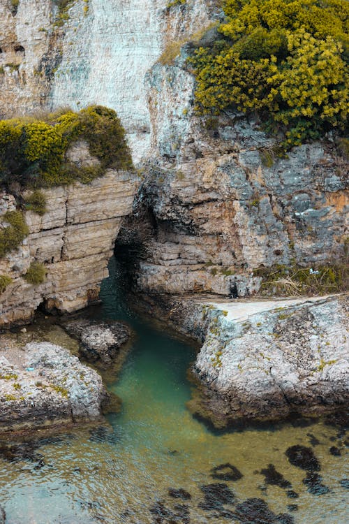 Foto profissional grátis de arbustos, cenário, corroído