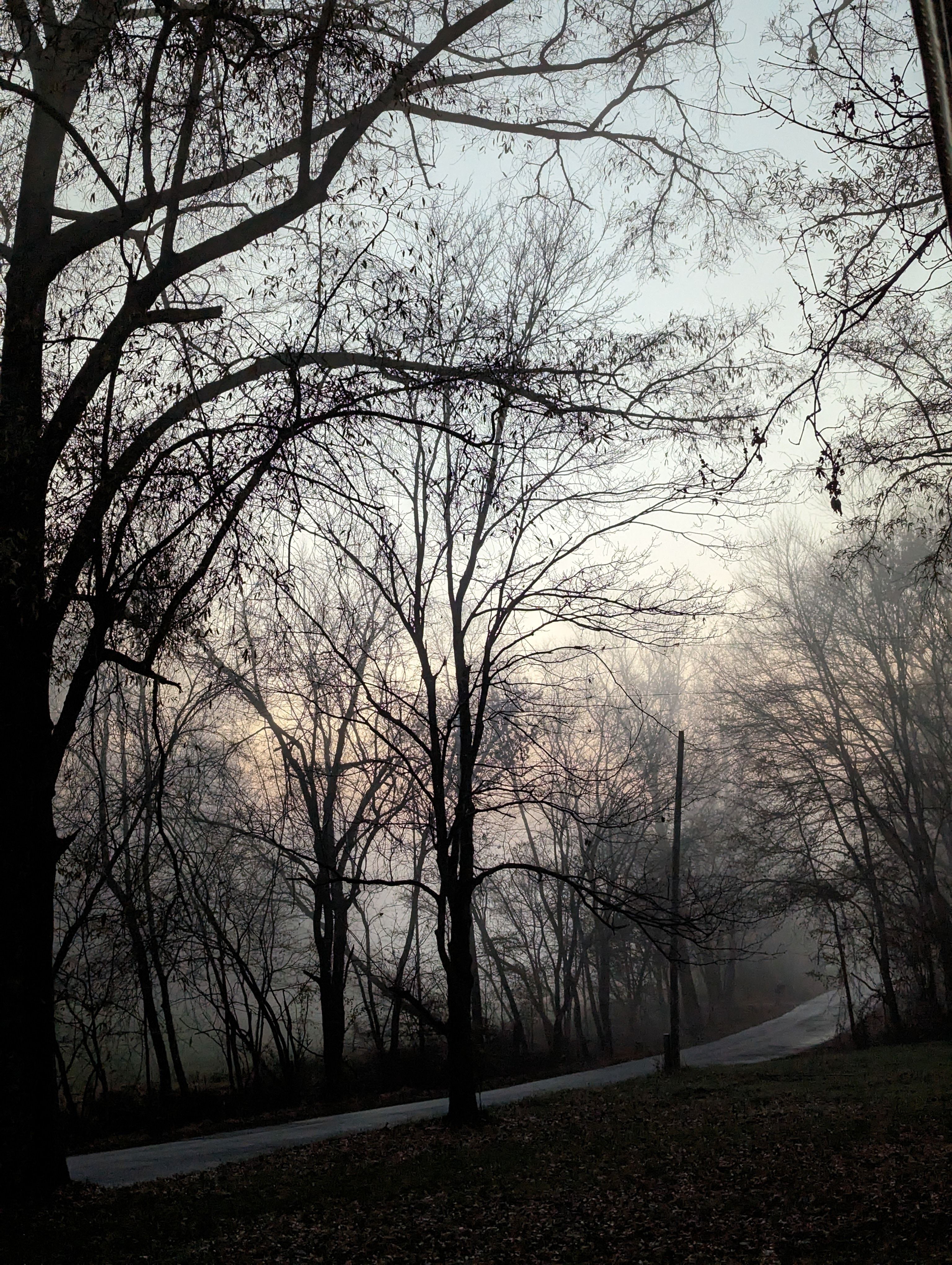 Bare Trees around Road in Countryside · Free Stock Photo