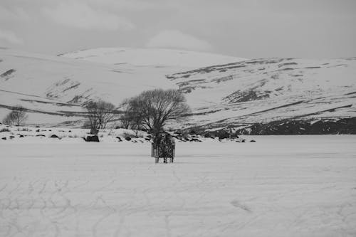 겨울, 경치, 농촌의의 무료 스톡 사진