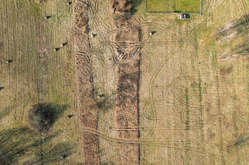 Foto d'estoc gratuïta de agricultura, camins, camp