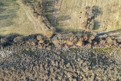 Aerial view of a field with trees and grass
