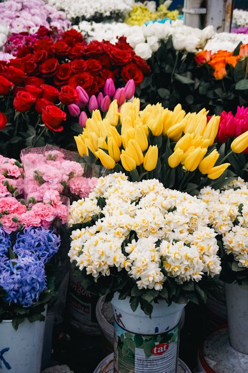 A flower market with many different colors of flowers