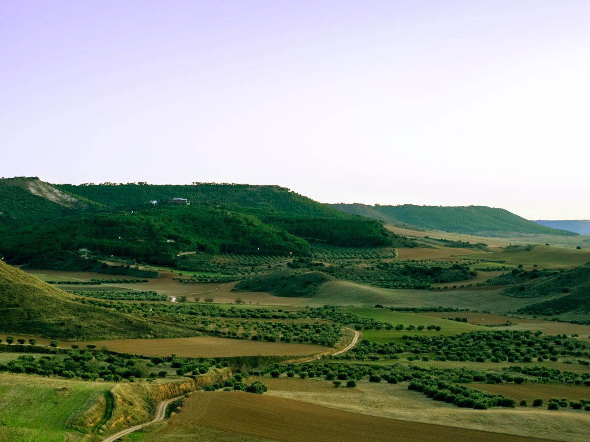 Momentium Retreats 3