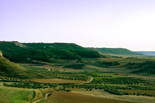 Free Breathtaking view of rural hills and fields near Madrid, Spain, showcasing lush greenery. Stock Photo