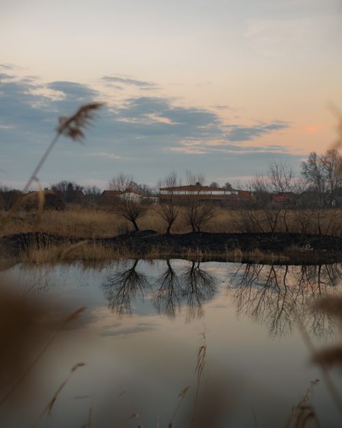 Free Tranquil lakeside view at twilight reflecting trees and rustic countryside. Stock Photo