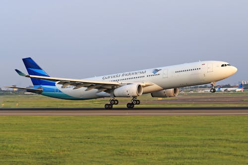 Gratis stockfoto met afscheid, garuda indonesië luchtvaartmaatschappijen, gras
