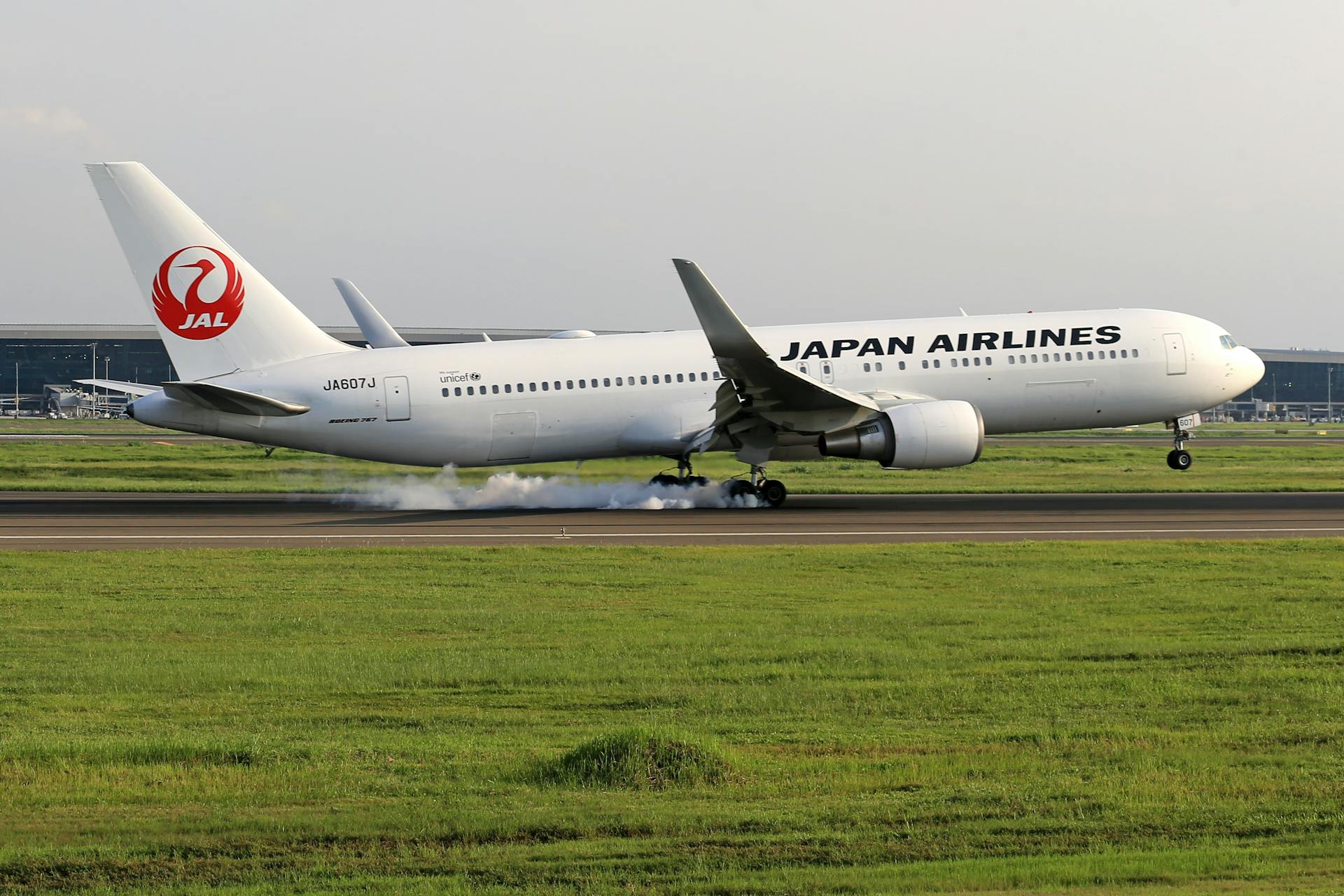 Japan Airlines at Airport