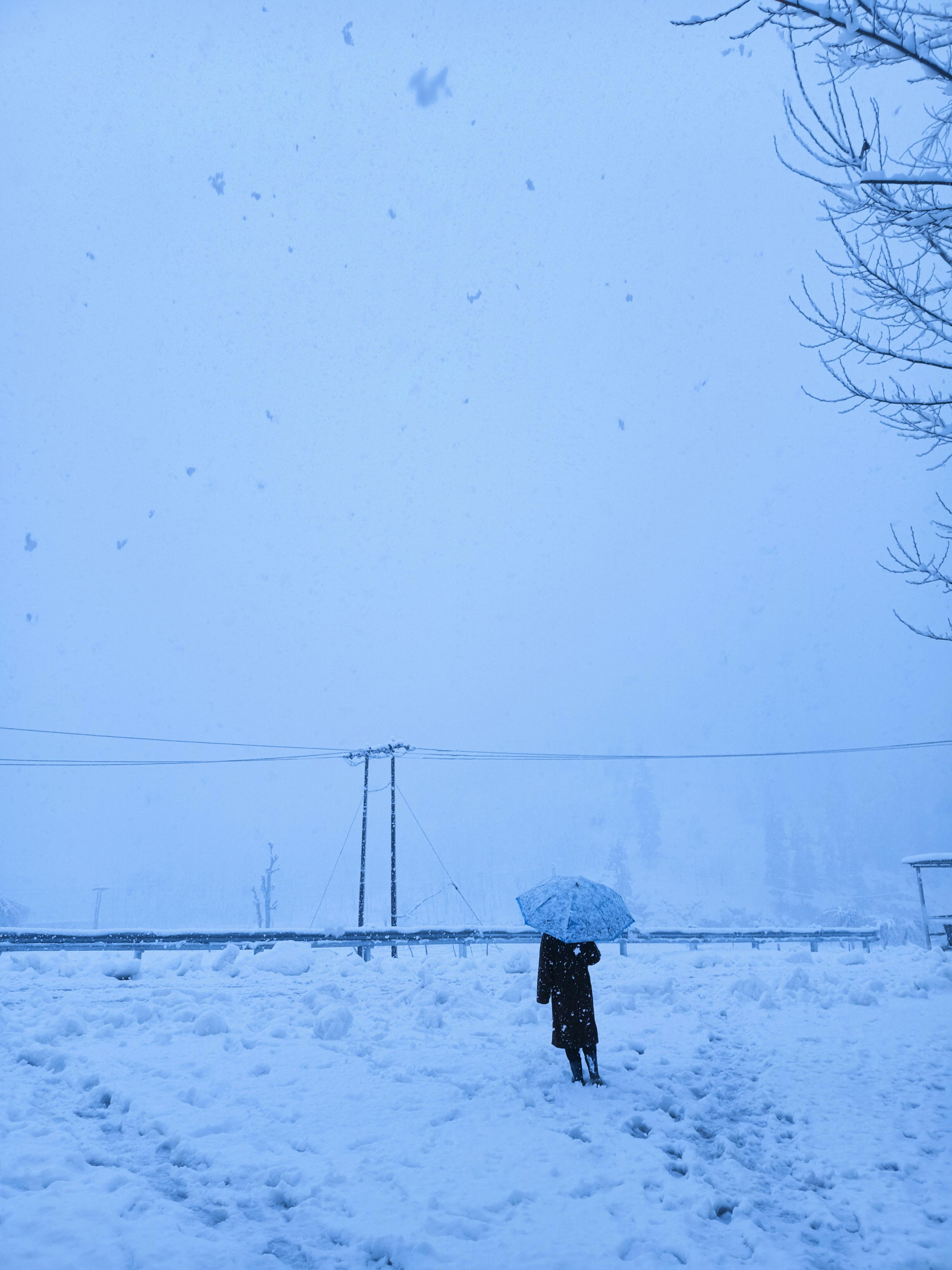 A person stands under an umbrella amidst heavy snowfall in Khurhama, enveloped by a serene winter landscape.
