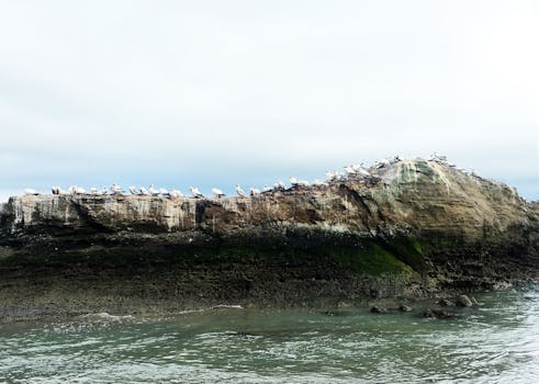 Napier, New Zealand photo 10