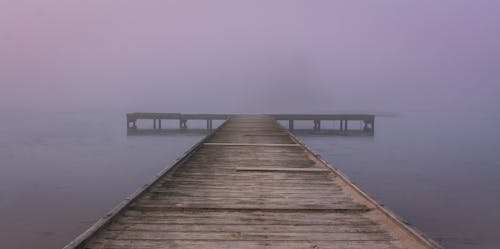 Free stock photo of dock, fog, foggy