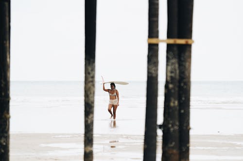 Imagine de stoc gratuită din avizier, bikini, candid