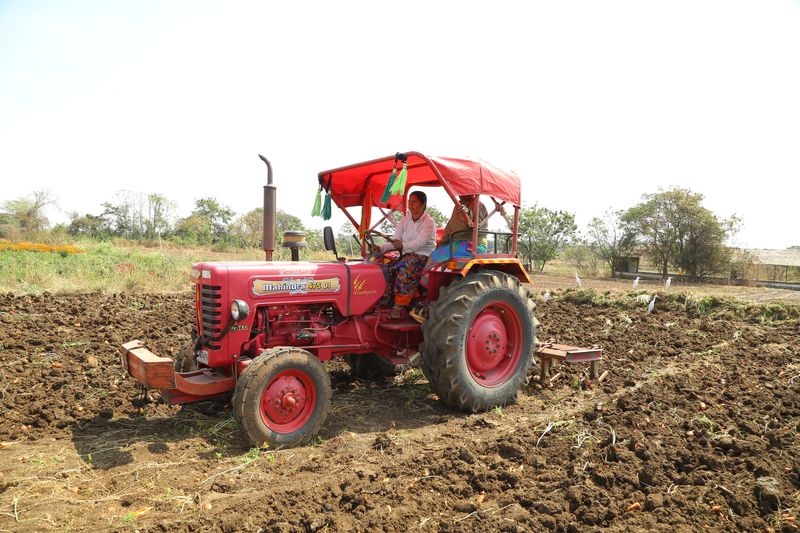 Indian farmer coconut farm partner
