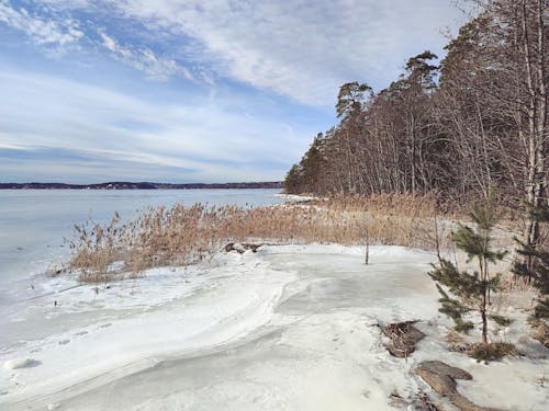 冬季, 冰, 冰凍的湖面 的 免费素材图片
