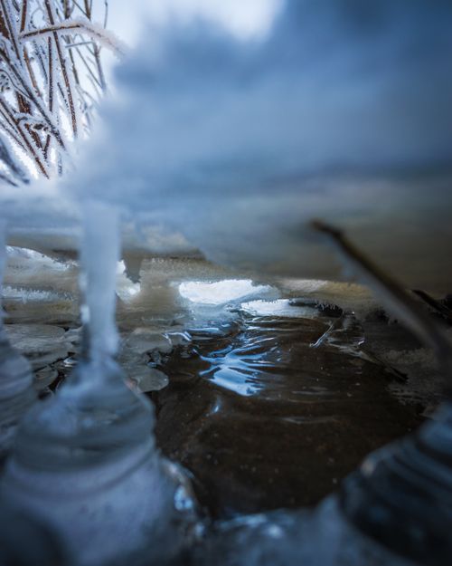 Free stock photo of close up, cold temperature, ice Stock Photo