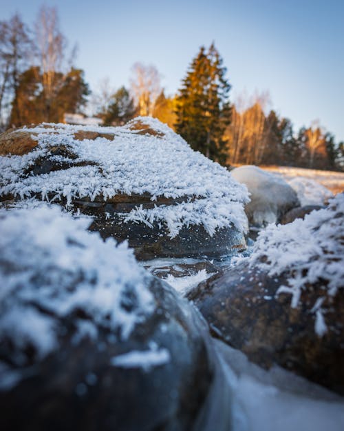 Ilmainen kuvapankkikuva tunnisteilla jää, jäätynyt, kallio