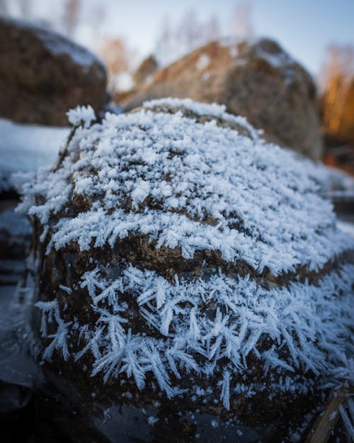 Frost on a rock in the woods
