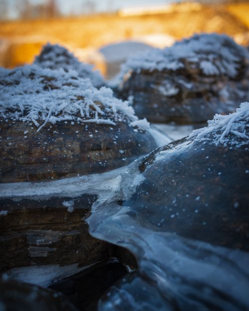 Free stock photo of beauty in nature, cold temperature, frozen Stock Photo