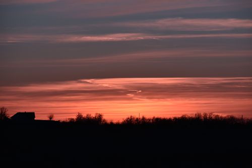 Free A beautiful sunset over the horizon with silhouettes of trees in Vișan, Romania. Stock Photo