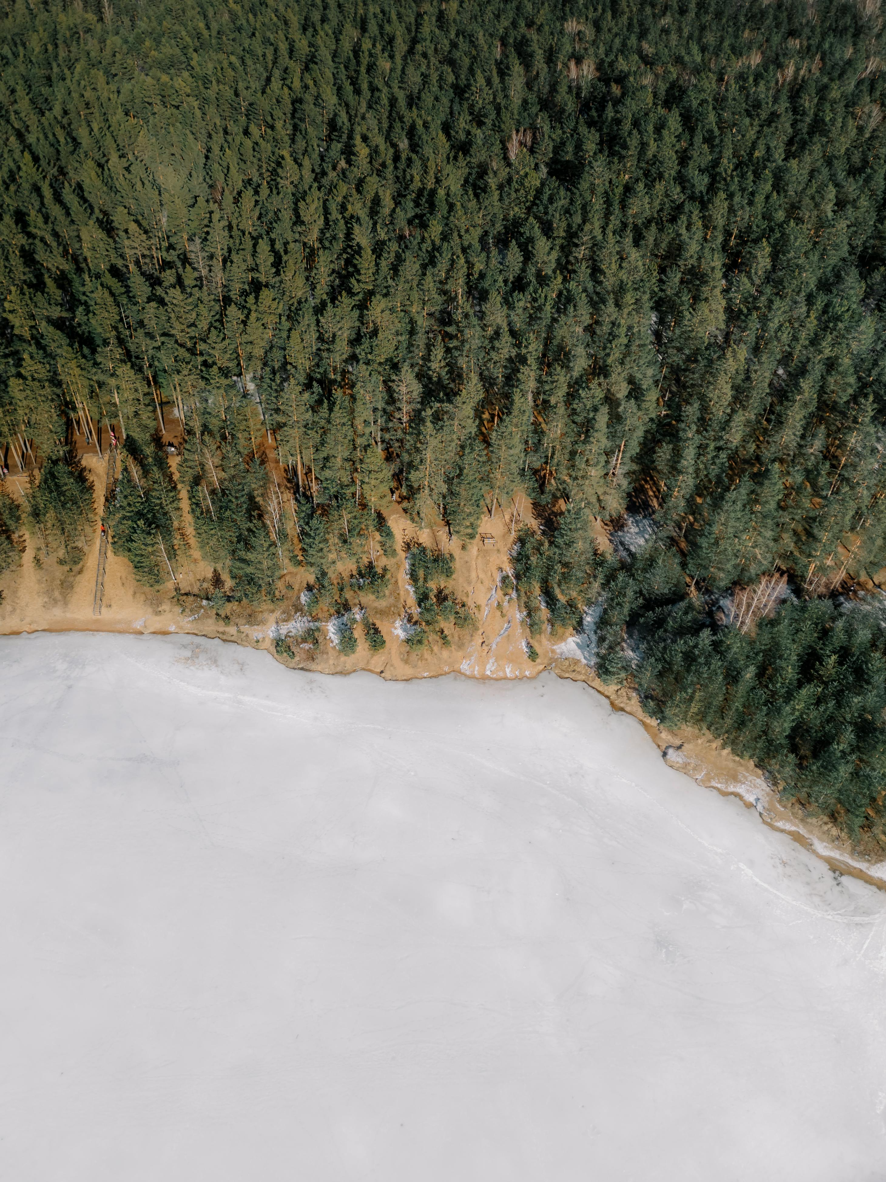 Stunning aerial shot of a frozen lake bordered by dense pine forests in Ogre, Latvia.