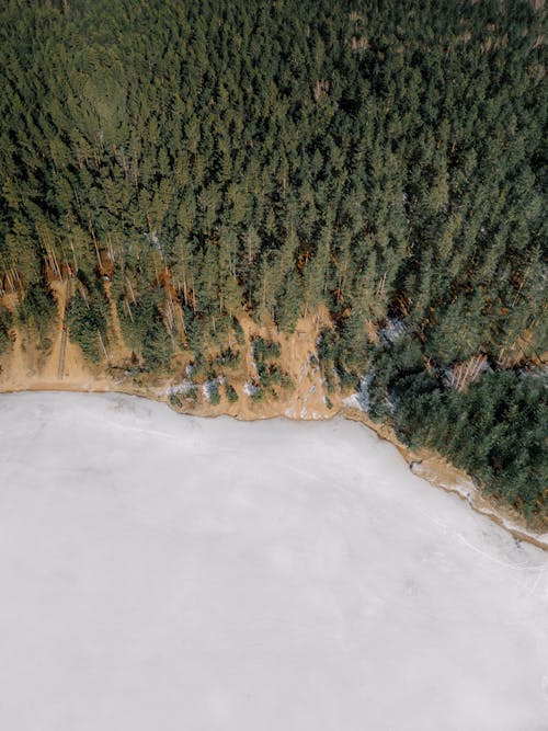 Aerial view of a lake and forest