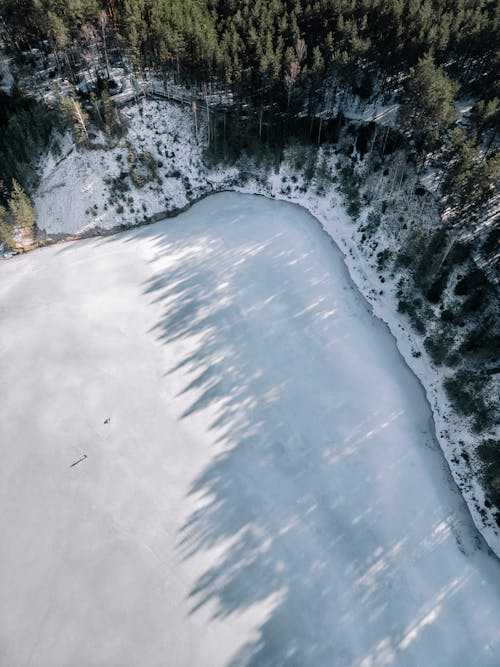 Aerial view of a frozen lake with trees
